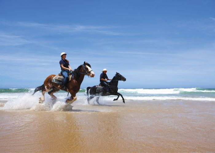 Beach horse riding, Worimi Conservation Lands, Port Stephens Horse riding along the beach, Worimi Conservation Lands, Port Stephens