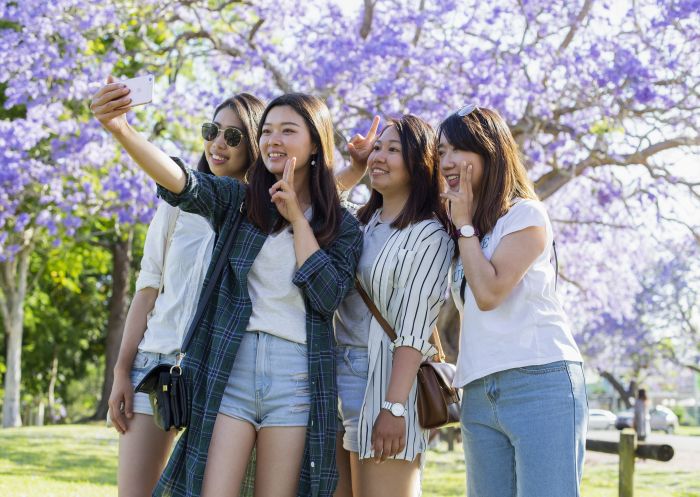 Grafton Jacaranda Festival 2018, Grafton Tourists enjoying the jacaranda trees throughout Grafton during the 2018 Grafton Jacaranda Festival