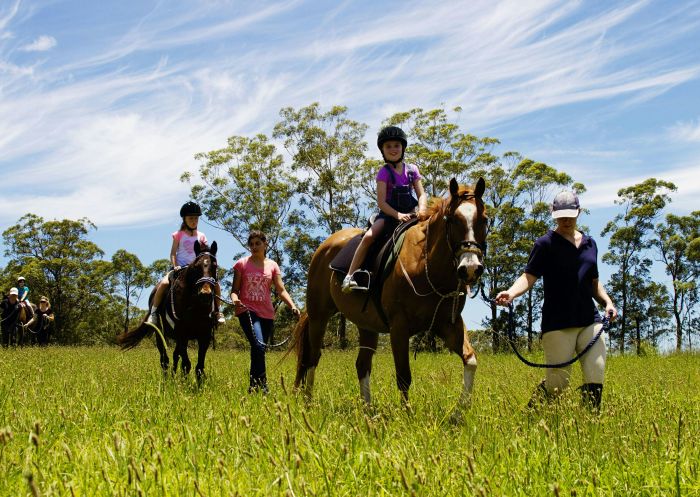 Port Macquarie Horse Riding Centre, Port Macquarie - Credit: Port Macquarie Horse Riding Centre Beginner Trail Ride with Port Macquarie Horse Riding Centre at Cassegrain Winery, Port Macquarie