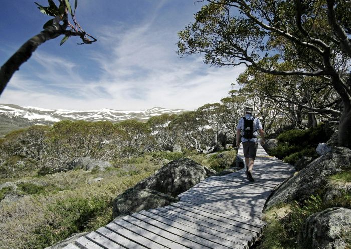 스노우 검스 보드워크, 코지어스코 국립공원(Kosciuszko National Park) - 사진 제공: 엘리너 셰어골드
