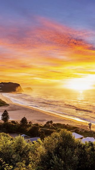 아보카 비치(Avoca Beach), 센트럴 코스트
