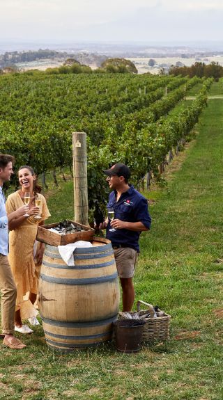 Couple enjoying Swift Sparkling Wine and oysters with scenic views across Printhie Wines vineyard in Molong, near Orange