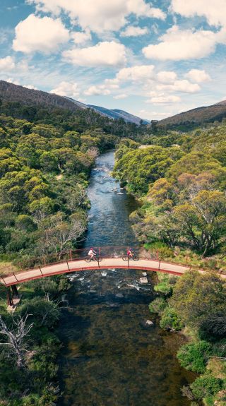 스노위 마운틴(Snowy Mountains) , 쓰레보(Thredbo) 밸리에서 자전거 타기를 즐기다