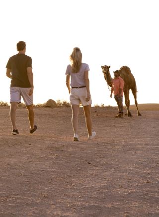 Silverton Camel Farm, Outback NSW