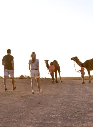 Silverton Camel Farm