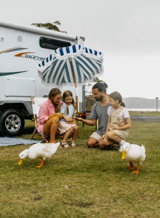 Family enjoying wildlife at NRMA Ocean Beach Holiday Resort, Umina Beach