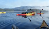 Kangaroo Valley Safaris kayak and Canoe Hire - Jervis Bay and Shoalhaven